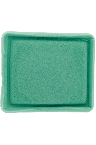 Other Briggs & Stratton Stiga 491435S Prefiltru de aer 491435 271933