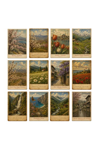 TELLGRAF Our Flowers Postcard Set (10X15 cm 12 Pieces)