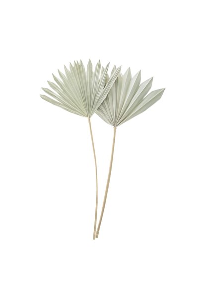 CATIANO Ramura de Palmier de Culoare Naturala 55-60cm - 2buc