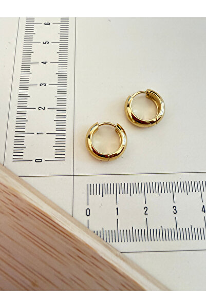 zadenza gold 316l surgical steel 5mm*12mm domed steel hoop earrings gold
