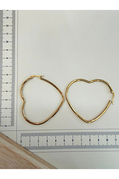 zadenza gold Stainless steel heart model ring earrings 58mm