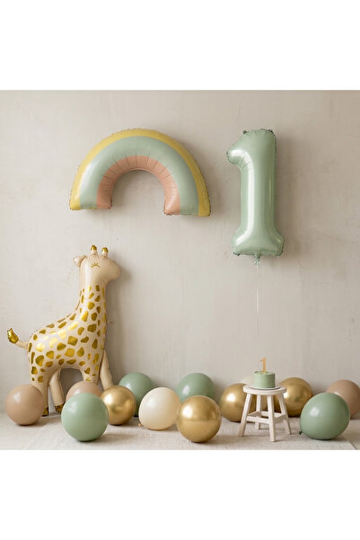 Öztürkpartievi 1 Year Old Giraffe Rainbow Concept 20 Balloon Set |   Birthday...