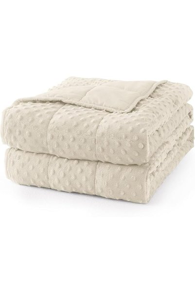 Mr. Sandman Weighted Blanket for Adults Queen, Minky Dots Heavy Blanket for W...
