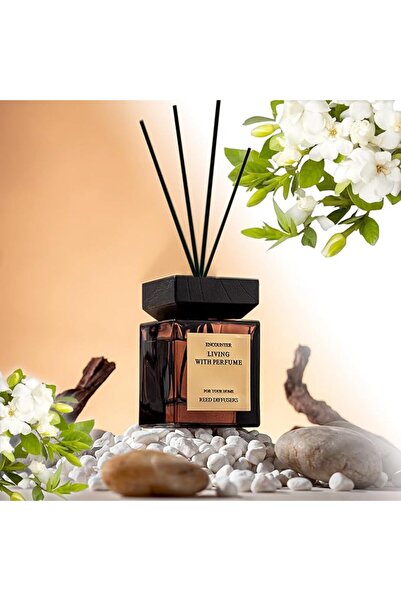 SODANEED مجموعة ناشرات العطر، مجموعة ناشرات العطور العلاجية سعة 200 مل، ناشرا...