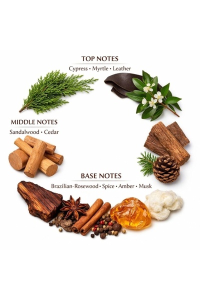PTC Perfume refill AMOS Sandalwood 100ml