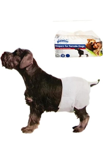 Pawise Köpek Alt Bağlama Bezi XL Boy 12 Adet