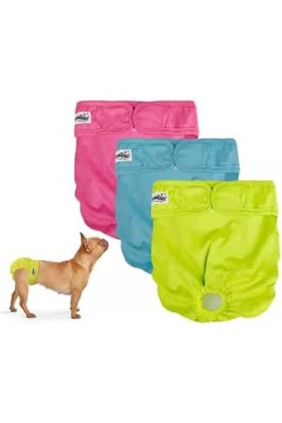 Pawise Tekrar Kullanılabilir Köpek Külodu XS 3Adet