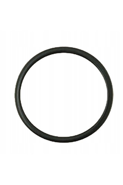 Granit O-ring 310 x 3 mm Fendt 71706095 GRANITE X549044100000