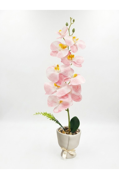 co arma Artificial Orchid Flower in Plastic Pot with Tied Bouquet Design 50cm Height