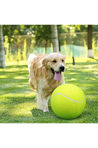 Morvena Picks Minge de tenis gigantă pentru animale de companie, 9,5 " (aprox...