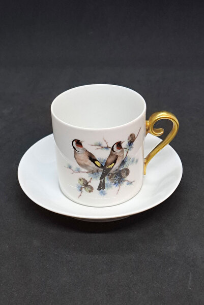 Hutschenreuther Tirschenreuth Sanak Bird Decorated Antique Porcelain Coffee C...