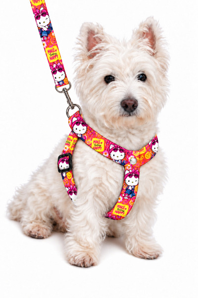 Angelapets Adjustable Scarf, Chest Harness and Travel Strap Set of 3