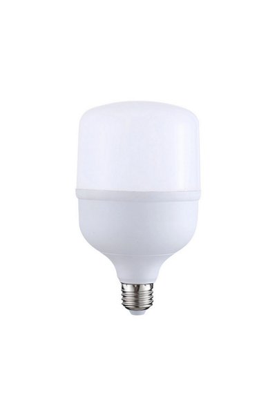 Tradesor Λάμπα LED - 30W - 6500K - T - 430173