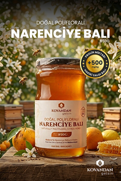 %100 Doğal Ham Narenciye Balı 850 g - Katkısız Hakiki Portakal Çiçeği Balı