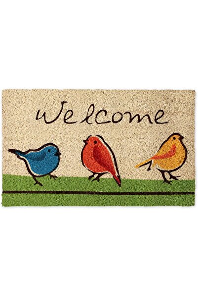 Generic DII Natural Coir Doormat, Decorative Hello Mat, 17x29, Aloe There