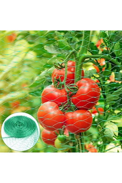 Morvena Picks Plasă anti-păsări rezistentă - Protecția plantelor - Protejează...