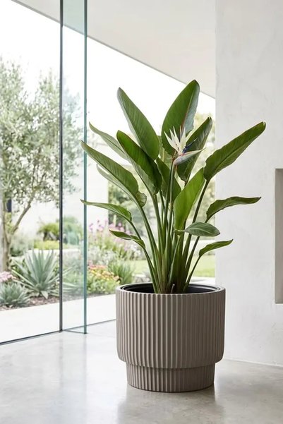 poliva home Dekoratif Modern Saksı 30 Litre İç Drenaj Hazneli