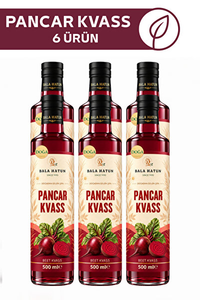 Pancar Kvass 500ml - Doğal Fermente (6'lı Cam Şişe)