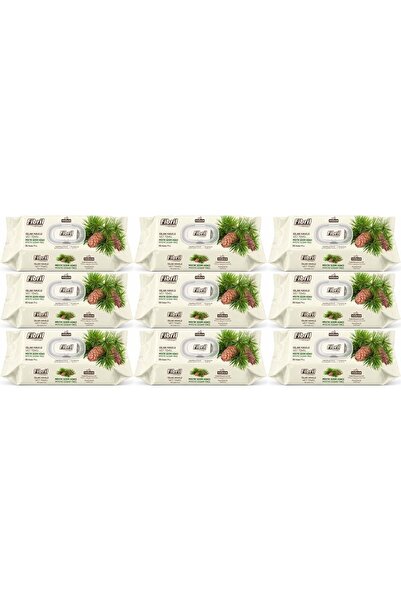 Fibril Wet Towel Wipes 90 Sheets Mystic Cedar Wood with Plastic Cover (Set of...