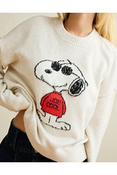 AMERICAN EAGLE AE Whoa So Soft Joe Cool Graphic Sweater