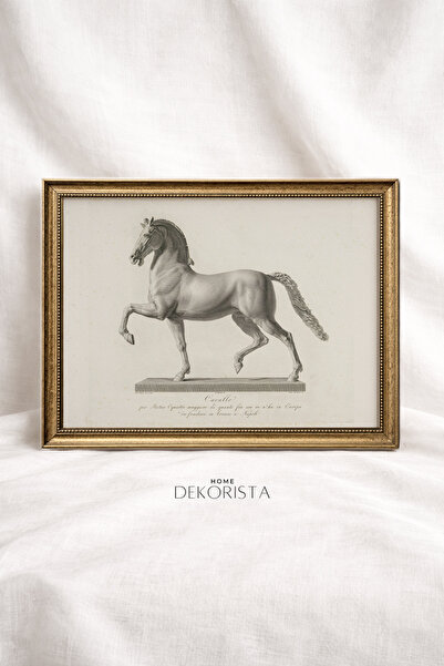 HOME DEKORİSTA Tablou vintage cu cadru cu tematică cal – Imprimare artistică ...