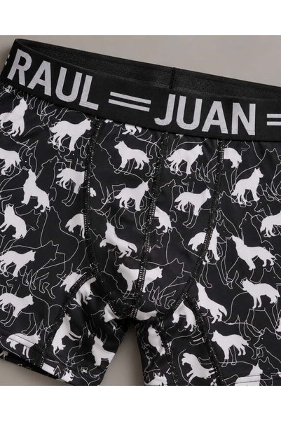 Juan Raul Kurt Desenli Siyah Erkek Boxer - DB348