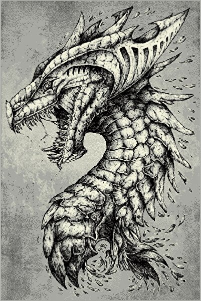 Talis Χαλί, Κολίβρι, Γκρι, 120x170 εκ., Delta Dragon 11611