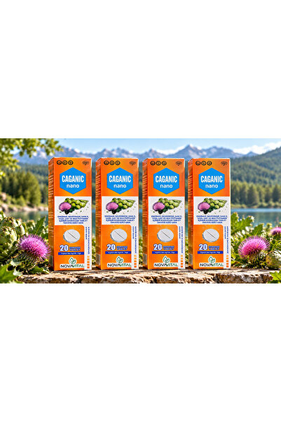 caganıc nano efervasan tablet 4 kutu