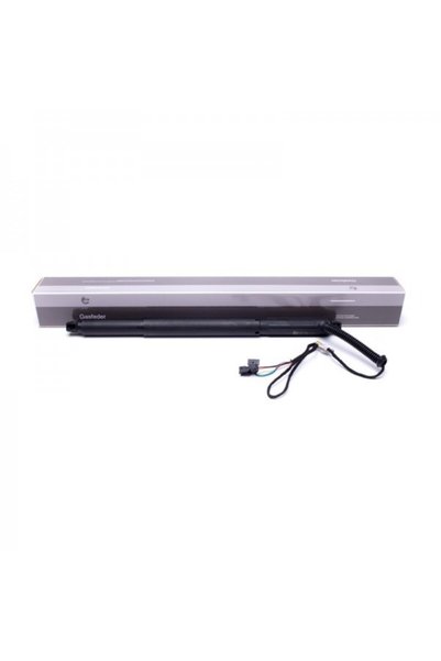ESEN SKV ACTIONATOR HAYON BMW X6 (E71, E72) 51247332697 51247332697