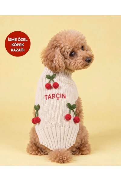 İsme Özel Köpek Kazağı Örgü Köpek Kazak İsimli Köpek Kıyafeti Amigurumi Detaylı (Nakışlı)