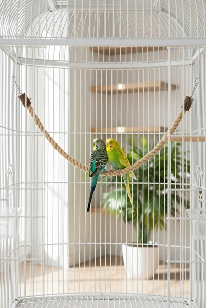 Alyones Natural Jute Climbing Rope Bird and Rodent Toy with Stainless Steel H...