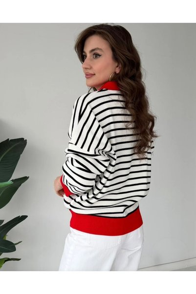 DAMGA Collection Women's Knit Polo Collar Striped Sweater