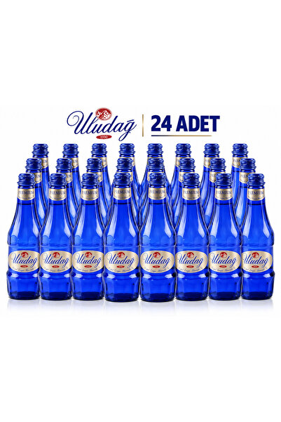 PREMIUM MADEN SUYU 250Ml 24/ADET