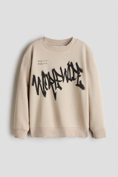 H&M Motif-detail brushed-inside sweatshirt