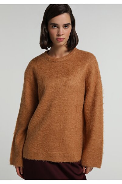 Colin's Regular Fit Round Neck Plain Women's Brown Sweater