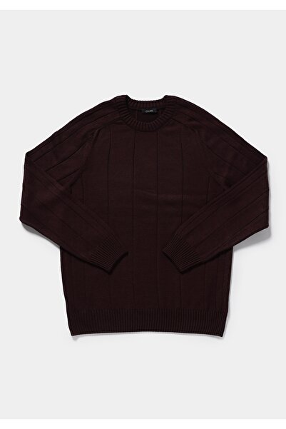 Colin's Regular Fit Yuvarlak Yaka Jakarlı Erkek Mor Kazak