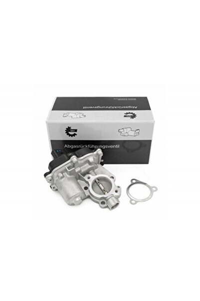 ESEN SKV Supapă EGR Seat Toledo Skoda Yeti VW Beetle Caddy Scirocco 04L131501D