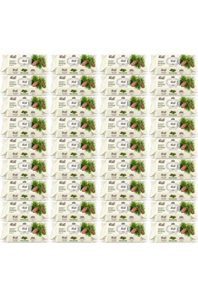 Fibril Wet Towel Wipes 90 Sheets Mystic Cedar Wood with Plastic Cover (Set of...