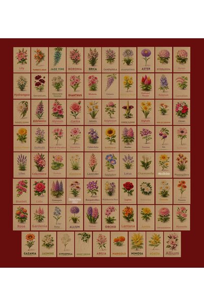 TELLGRAF Flower Themed Kraft Postcard Set (10X15 cm 79 Pieces)