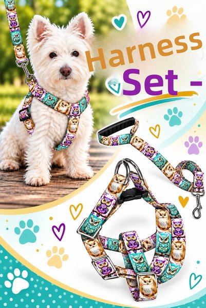 Angelapets Dog Chest Harness and Walking Strap Set