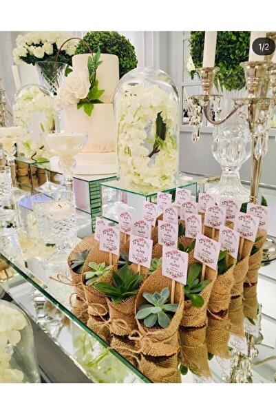 SUKULENTİSTANBUL Sukulent Nikah Şekeri- 25 Adet Sukulent Hediyelik (karma Suk...