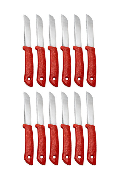 Solingen Set of 12 Original Serrated Fruit and Vegetable Knives