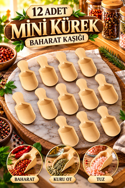 Tasarım Evi 12 Mini Shovel Spice Spoons