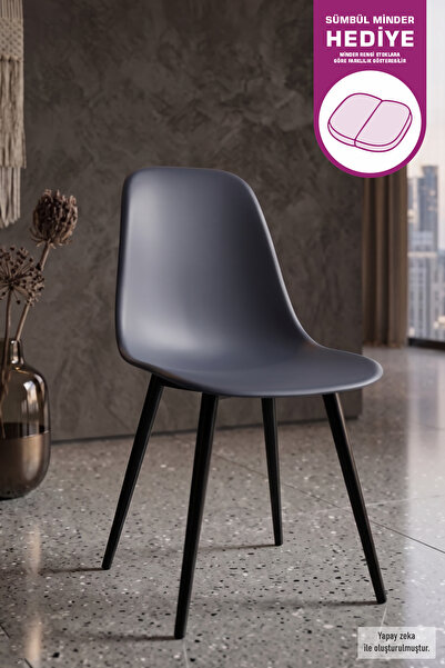 VİLİNZE Eames Siyah Ahşap Ayak Plastik Füme Sandalye