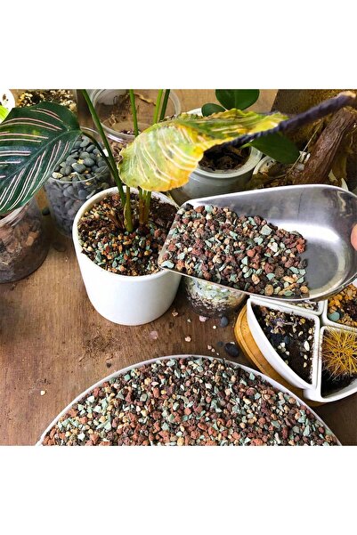 Choice 100g MULTI Mix Horticultural Lava Rock Pebbles Pumice Potting Soil Ame...