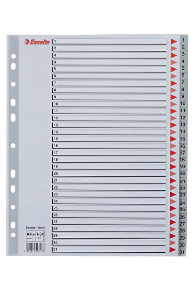 Esselte Index plastic A4 MAXI 1-31 gri
