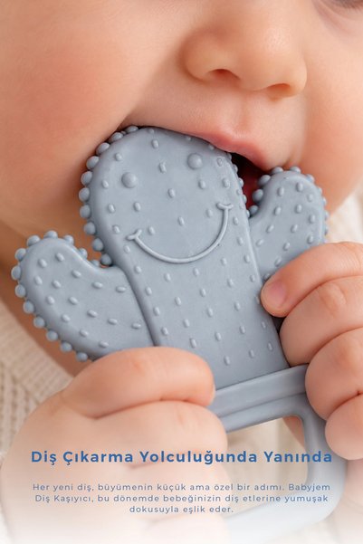 Babyjem Teether Cactus 628 Gray