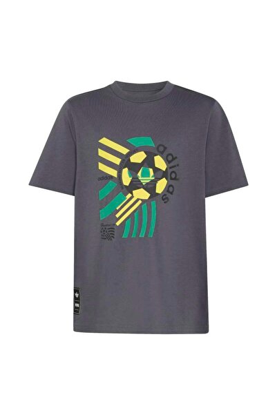 adidas Boy's Gray Loose Fit Graphic T-Shirt Lo Gfx T-Shirt Kd7885