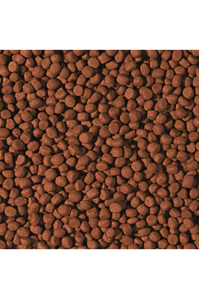 Cichlid Carnivore Medium Pellet 250 Gr Açık
