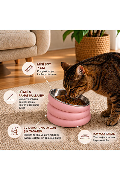 Eğimli Paslanmaz Çelik Kedi Mama Kabı Kaymaz Tabanlı 7 cm Yüksek Standlı Mama ve Su Kabı Dekoratif Tasarım